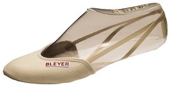 Bleyer 1832